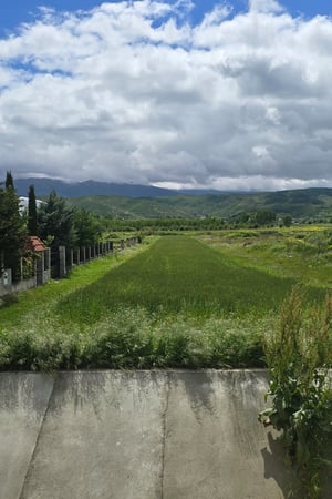Land Image