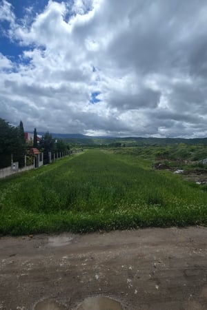 Land Image