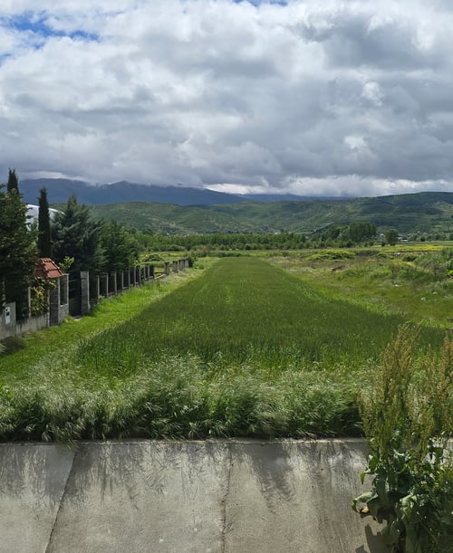 Land Image